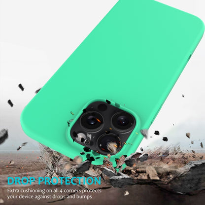 For iPhone 16 Pro Solid Color Silicone Phone Case(Green) - More iPhone Cases by buy2fix | Online Shopping UK | buy2fix