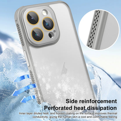 For iPhone 16 Pro Max Side Cooling Skin Feel Frosted Phone Case(Sky Blue) - iPhone 16 Pro Max Cases by buy2fix | Online Shopping UK | buy2fix