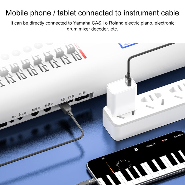 1m USB-C / Type-C to MIDI + USB Sound Card Audio Connection Sync Charging Cable(Black) - Video & Audio Cable by buy2fix | Online Shopping UK | buy2fix