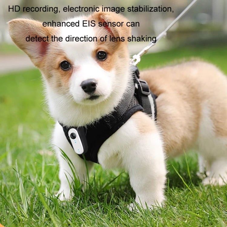 HD Outdoor Portable Pet Recorder Cycling Sports Camera, Specifications: With Silicone Collar - Video Cameras by buy2fix | Online Shopping UK | buy2fix