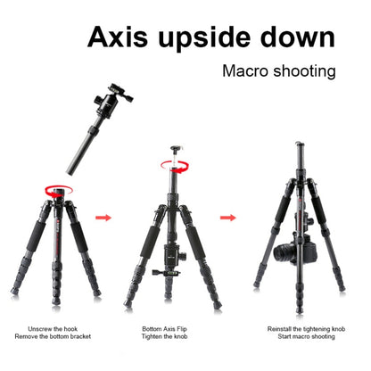 TRIOPO T259G+Q2 Adjustable Portable Carbon Fiber Tripod with Q-2 Ball Head for SLR Camera - Camera Accessories by TRIOPO | Online Shopping UK | buy2fix