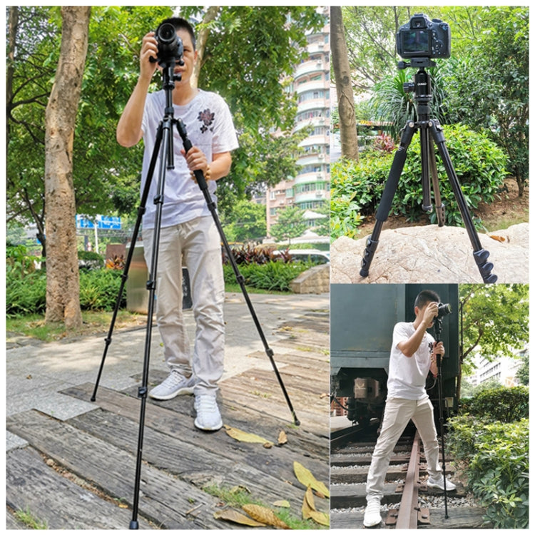 TRIOPO Oubao A-308S Adjustable Portable  Aluminum Alloy Tripod with Ball Head for SLR Camera - Camera Accessories by TRIOPO | Online Shopping UK | buy2fix