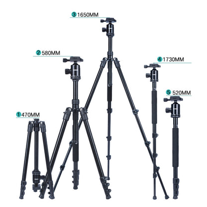 TRIOPO Oubao A-308S Adjustable Portable  Aluminum Alloy Tripod with Ball Head for SLR Camera - Camera Accessories by TRIOPO | Online Shopping UK | buy2fix