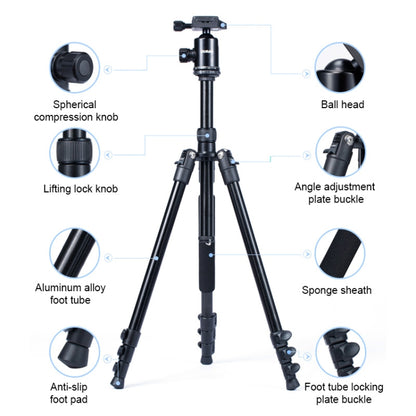 TRIOPO Oubao A-308S Adjustable Portable  Aluminum Alloy Tripod with Ball Head for SLR Camera - Camera Accessories by TRIOPO | Online Shopping UK | buy2fix