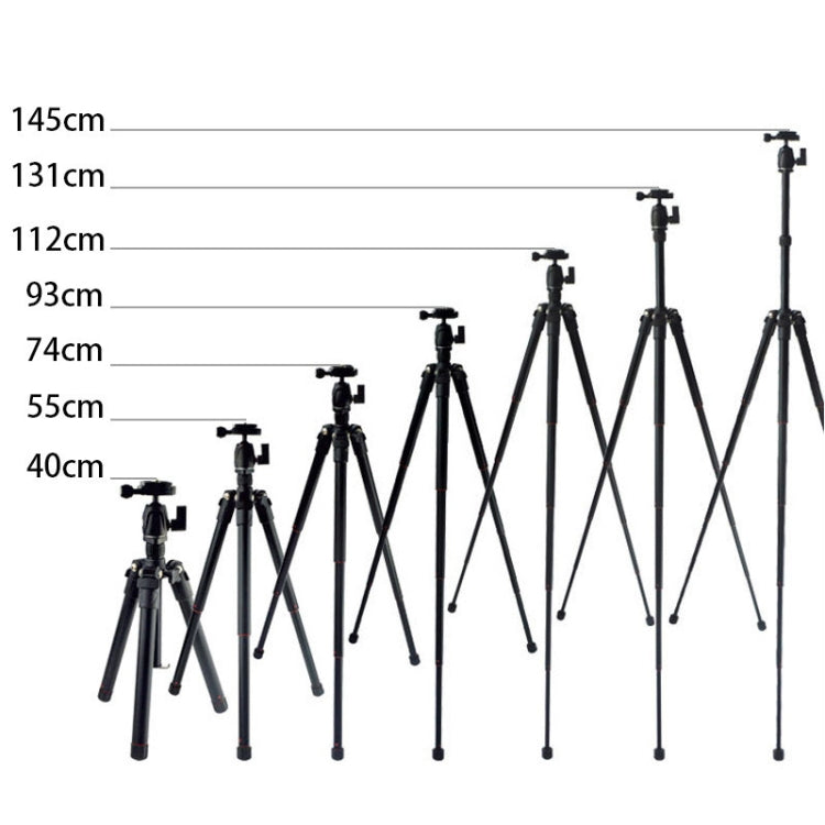 BEXIN MS12 Portable Lightweight Camera Ball Head Tripods Stand for Digital SLR DSLR camera - Camera Accessories by BEXIN | Online Shopping UK | buy2fix