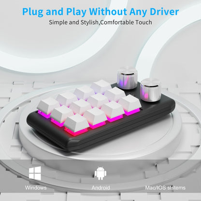 USB Wired 12KV2 MOLD Mini Mechanical 12 Keys 2 Knob Custom Programming Keyboard(White) - Mini Keyboard by buy2fix | Online Shopping UK | buy2fix