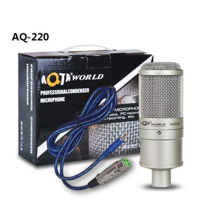 AQ-220 K Song Live Recording Noise Reduction Capacitor Microphone - Consumer Electronics by buy2fix | Online Shopping UK | buy2fix