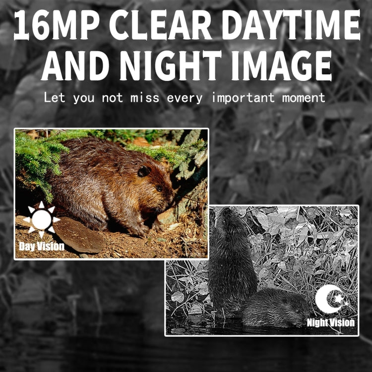 PR300 Outdoor Night Vision Hunting Tracking Camera 12MP Motion Activated - Hunting Cameras by buy2fix | Online Shopping UK | buy2fix