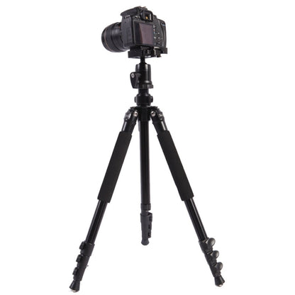 Triopo C-158+KJ-1 Adjustable Portable Aluminum Alloy Tripod - Camera Accessories by TRIOPO | Online Shopping UK | buy2fix