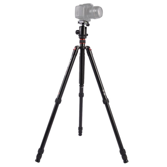 Triopo MT-2804C Adjustable Portable Aluminum Tripod with NB-2S Ball Head for Canon Nikon Sony DSLR Camera(Black) - Camera Accessories by TRIOPO | Online Shopping UK | buy2fix