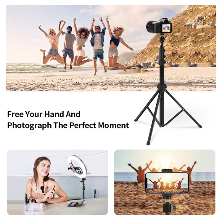 JMARY MT38 Travel Tripod Phone Holder 1.68m Telescopic Vlogging Camera Mount Tripod Stand - Tripods by Jmary | Online Shopping UK | buy2fix