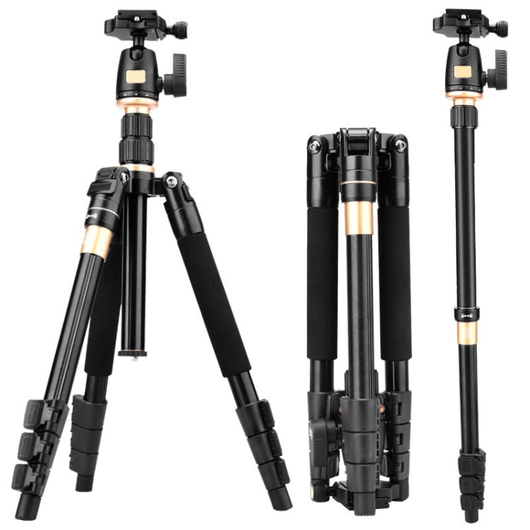 Q555 4-Section Folding Legs Aluminum Alloy Tripod Mount Monopod Holder with Ball Head - Camera Accessories by buy2fix | Online Shopping UK | buy2fix