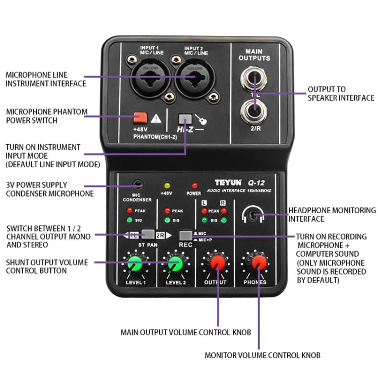 TEYUN Q-12 Computer Recording Sound Card USB Drive-free Recording Arranger(Black) - Consumer Electronics by TEYUN | Online Shopping UK | buy2fix