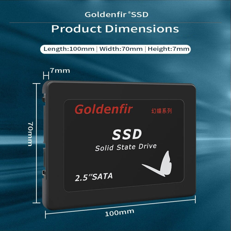 Goldenfir T650 Computer Solid State Drive, Flash Architecture: TLC, Capacity: 256GB - External Solid State Drives by Goldenfir | Online Shopping UK | buy2fix